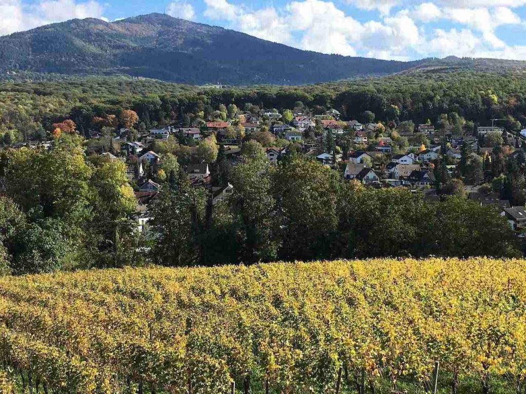Aussicht auf Müllheim